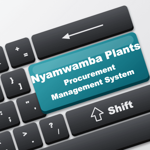 Nyamwamba Procurement System